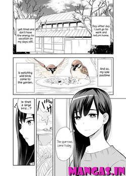 A Cute Bird Comes to an Office Lady Who Is Tired and Healed by Birdwatching